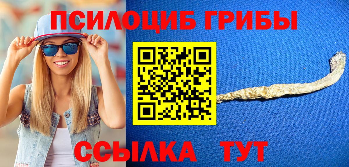 Зеленокумск  Галлюциногенные грибы GOLDEN TEACHER  Вход с VPN  Псилоцибиновые грибы мухоморы 